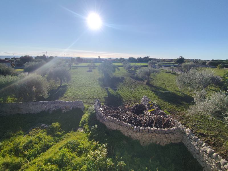 FriBasIMG_20251206_084116