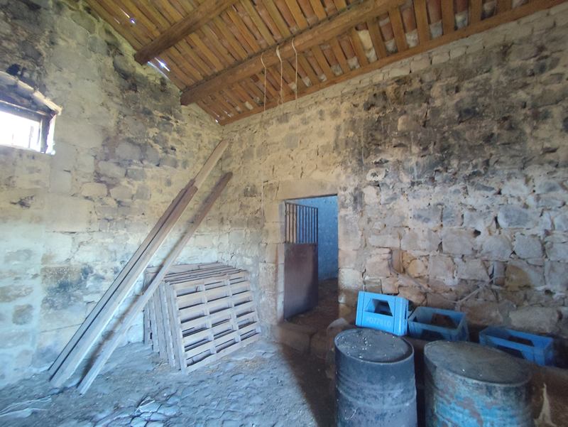 FriBasIMG_20251206_084805