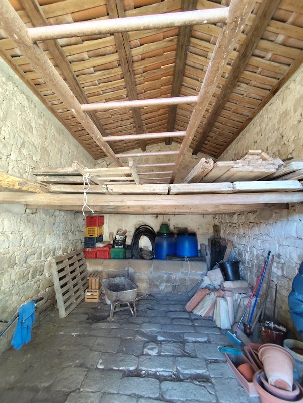 FriBasIMG_20251206_085110