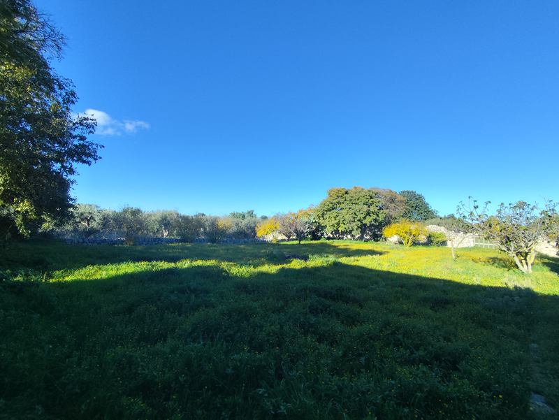 FriBasIMG_20251206_085121