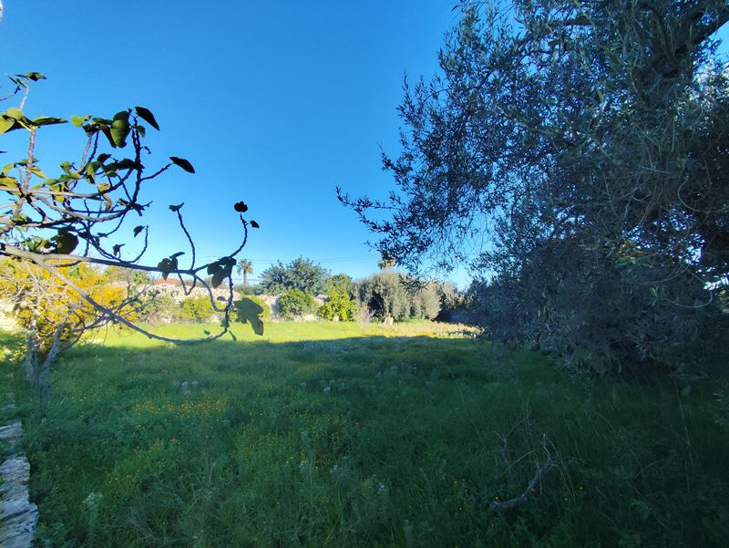 FriBasIMG_20251206_085243