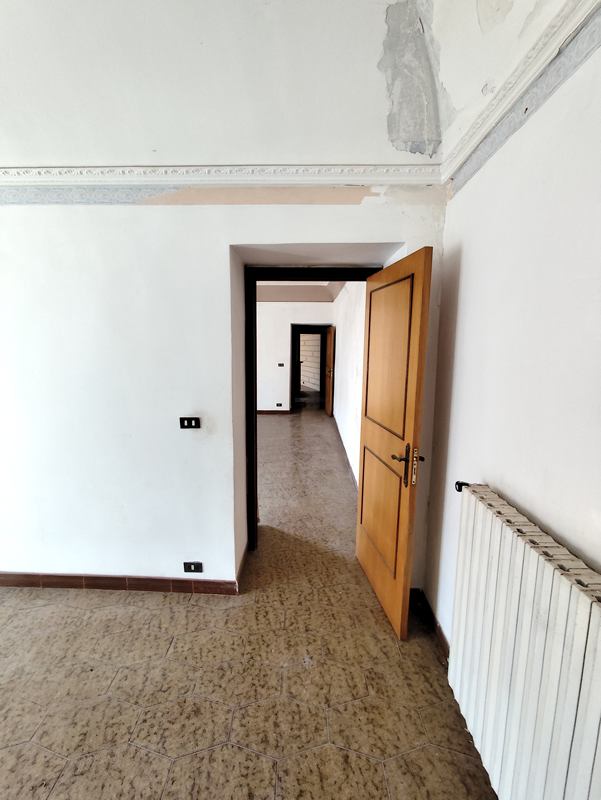 modcamIMG_20250306_085532