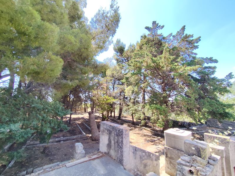 FriBosIMG_20260622_102634